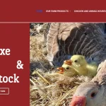 Is Deluxepoultryandlivestock.com legit?