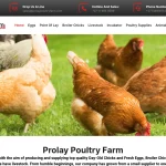 Is Prolaypoultryfarm.com legit?