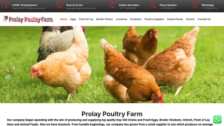 Is Prolaypoultryfarm.com legit?