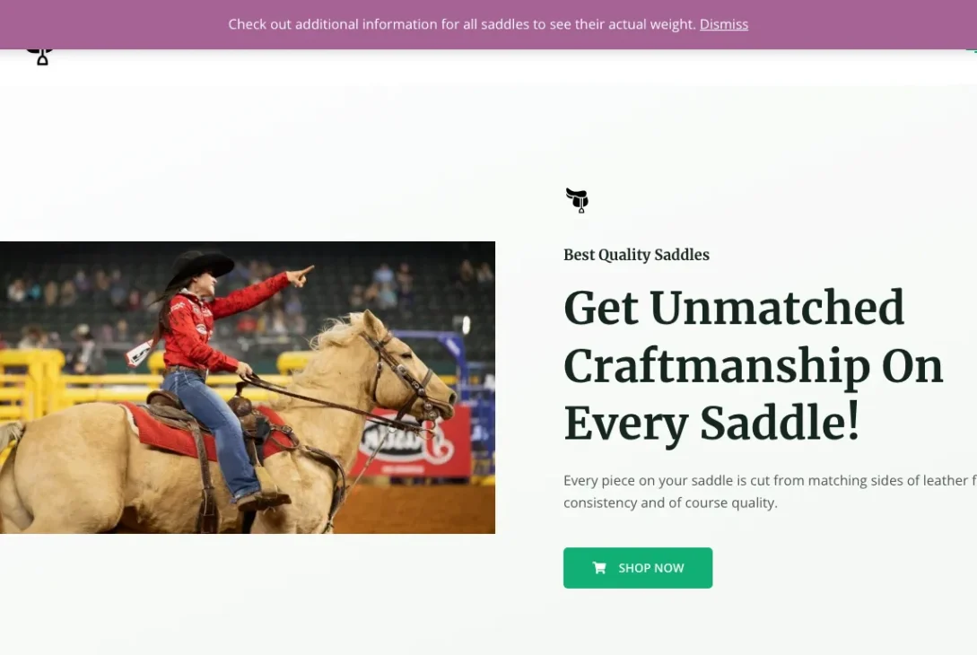 Is Thesaddleworld.com legit?