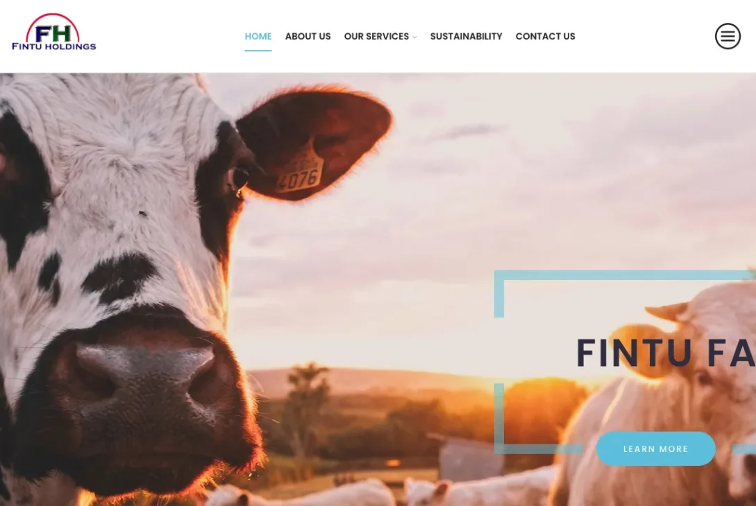 Is Fintuholdings.com legit?