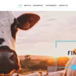 Is Fintuholdings.com legit?