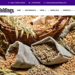 Is Nangroupholdings.com legit?