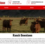 Is Ranchdowntown.com legit?
